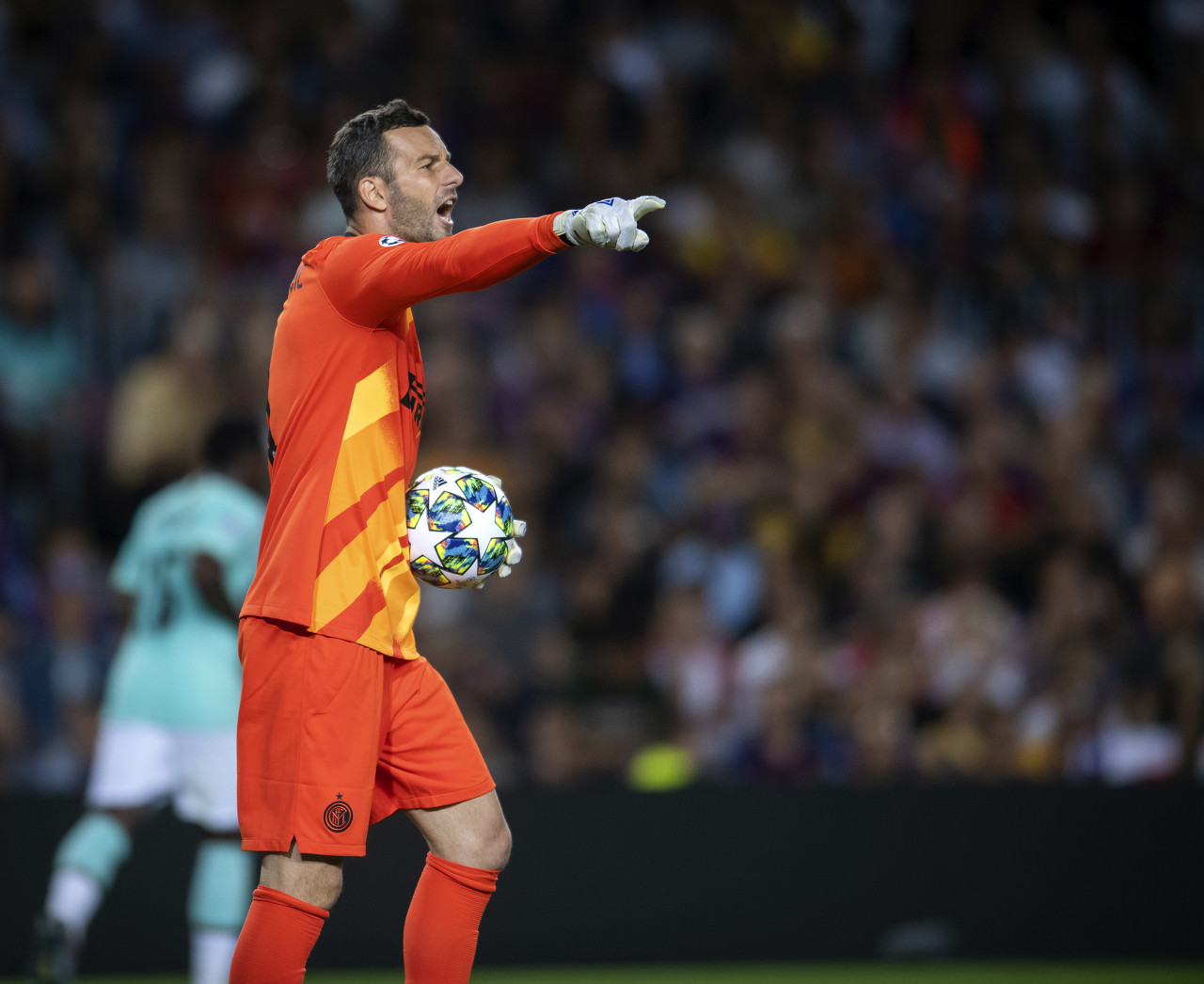 韩国棋手申 韩国棋手申